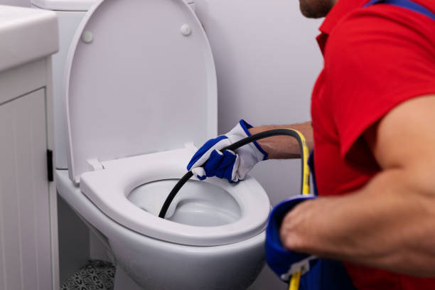 Best Plumbing Inspection Services  in Perry, MI