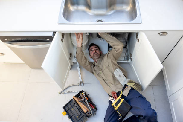 Best Local Plumber Services  in Perry, MI