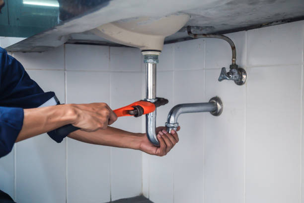 Best Affordable Plumber Near Me  in Perry, MI