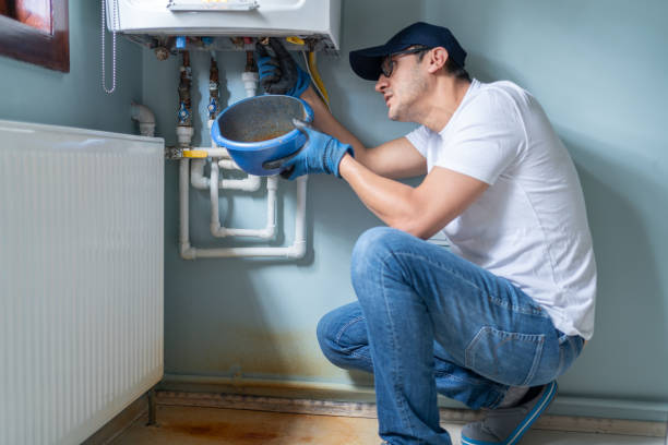 Best Septic Systems  in Perry, MI