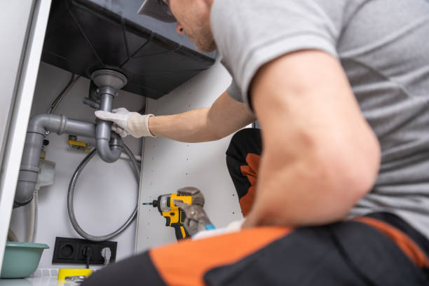 Best Clogged Drain Plumber  in Perry, MI