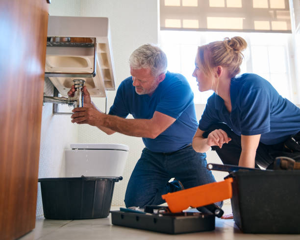 Best Commercial Plumbing Services  in Perry, MI